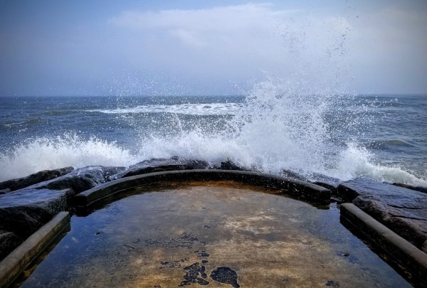 Photography by Logan Jinks